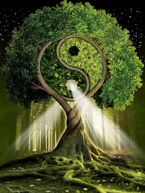 Respiration